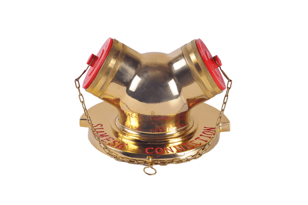 Gal-2 Siamesse Connection