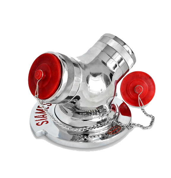 Gal-1 Siamesse Connection